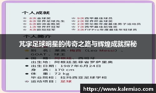 芃字足球明星的传奇之路与辉煌成就探秘